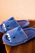 Image result for Extra Comfy House Slippers