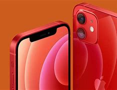 Image result for iPhone 12 Phone Comparison