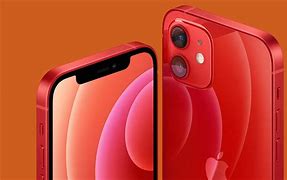 Image result for iPhone 12 Line Up