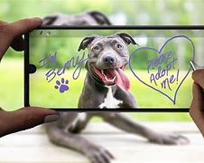 Image result for Stylo 6 Phone Pen
