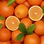 Image result for Big Island Orange Fruit