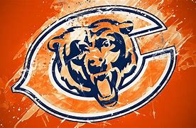 Image result for Chicago Bears New Team