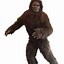 Image result for Bigfoot Halloween Costumes for Kids