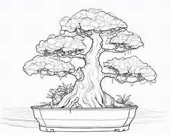 Image result for Bonsai Tree Ratios