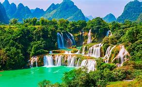 Image result for Sleek Wallpaper Nature