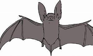 Image result for Sleeping Bat Cartoon