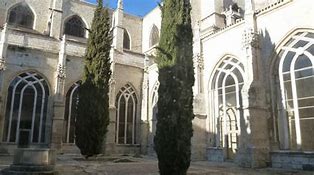 Image result for catedralicio