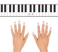 Image result for Hand Position On Piano