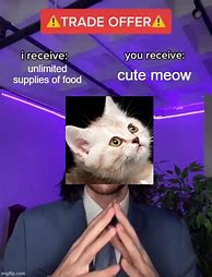 Image result for Trade Offer Cat Meme