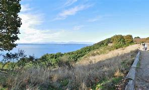 Image result for Discovery Park Summer