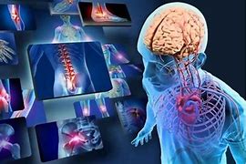 Image result for Fisiologia