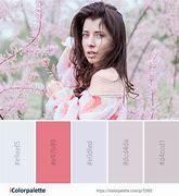 Image result for Color Palette Ideas