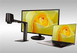 Image result for Computer Screen Magnifiers