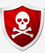 Image result for Skull Face Shield