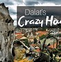 Image result for Crazy House Motorway