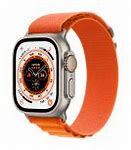 Image result for Best Color for Apple Watch