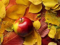 Image result for Autumn Apples Mobiles