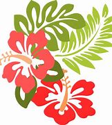 Image result for Luau PNG
