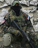 Image result for Serbian Army 1920X1080
