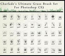 Image result for Free Photoshop Straw Brushes
