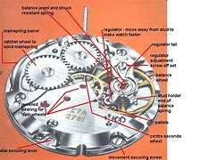 Image result for Parts of a Mechanical Watch