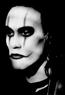 Image result for Brandon Lee Art