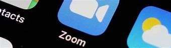 Image result for Zoom for Government Icon