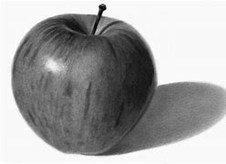 Image result for Realistic Draw Apple