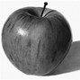 Image result for Realistic Apple