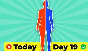 Image result for 90 Day Full Body Challenge with No E