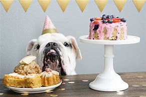 Image result for Dog Birthday Cake Meme