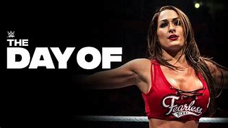 Image result for Nikki Bella Stay Fearless Gear