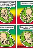 Image result for Pregnancy Humor