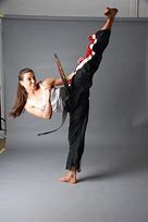 Image result for Female Martial Artists Art