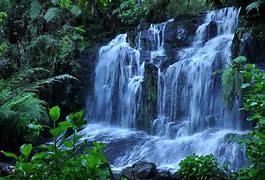 Image result for Une Natural Beauty