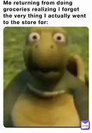 Image result for Awkward Turtle Meme