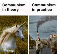 Image result for Funny Horse Memes Unicorn