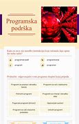 Image result for Programska Podrska
