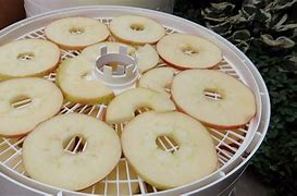Image result for Drying Apple's Outside