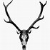 Image result for Bedazzled Deer Skull