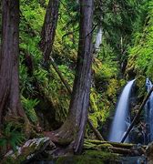 Image result for Comox Vancouver Island Images