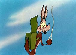 Image result for Looney Tunes Coyote Falls