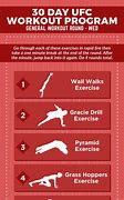 Image result for UFC Workout Routine