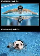 Image result for Funny Swimming Quotes