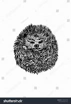 Image result for Hedgehog Curled Up Clip Art