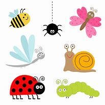 Image result for Butterfly Bug Cartoon