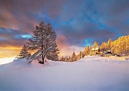Image result for Snowy Landscape Photos