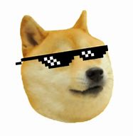 Image result for Doge Meme Shibe Dog