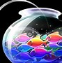 Image result for Animated Bubbles