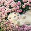 Image result for Cute Kitten deviantART
